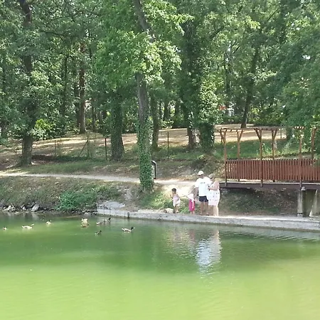 Appartement Appart 1 Chb 4 Pers 61 Du Lac *